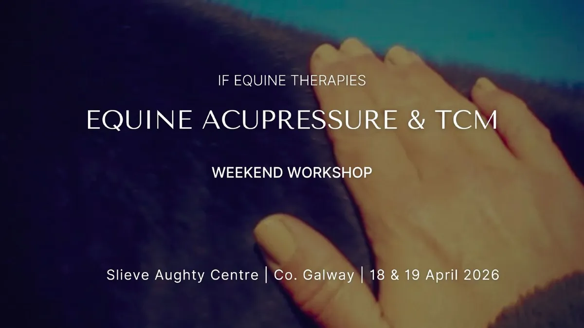 Equine Acupressure Workshop | 18 & 19 April 2026 - Image 1