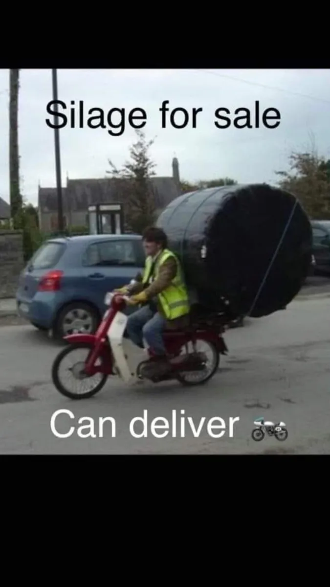 Straw & silage - Image 1