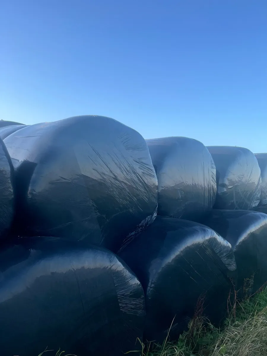 Straw & silage - Image 2