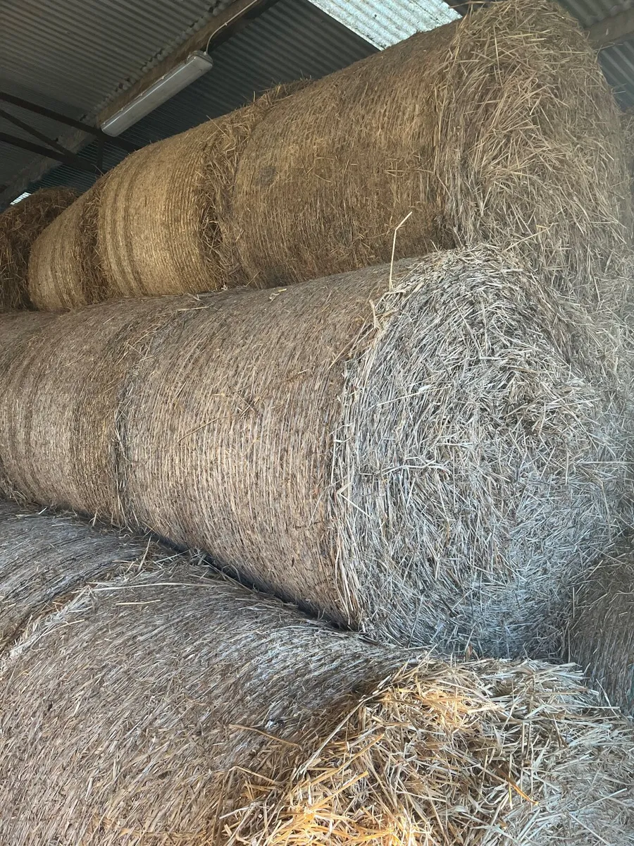 Straw & silage - Image 3