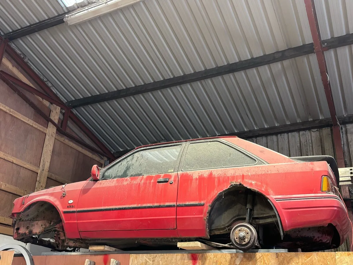 Escort xr3i project