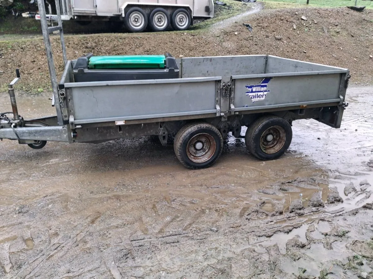 Ivor williams - Image 2