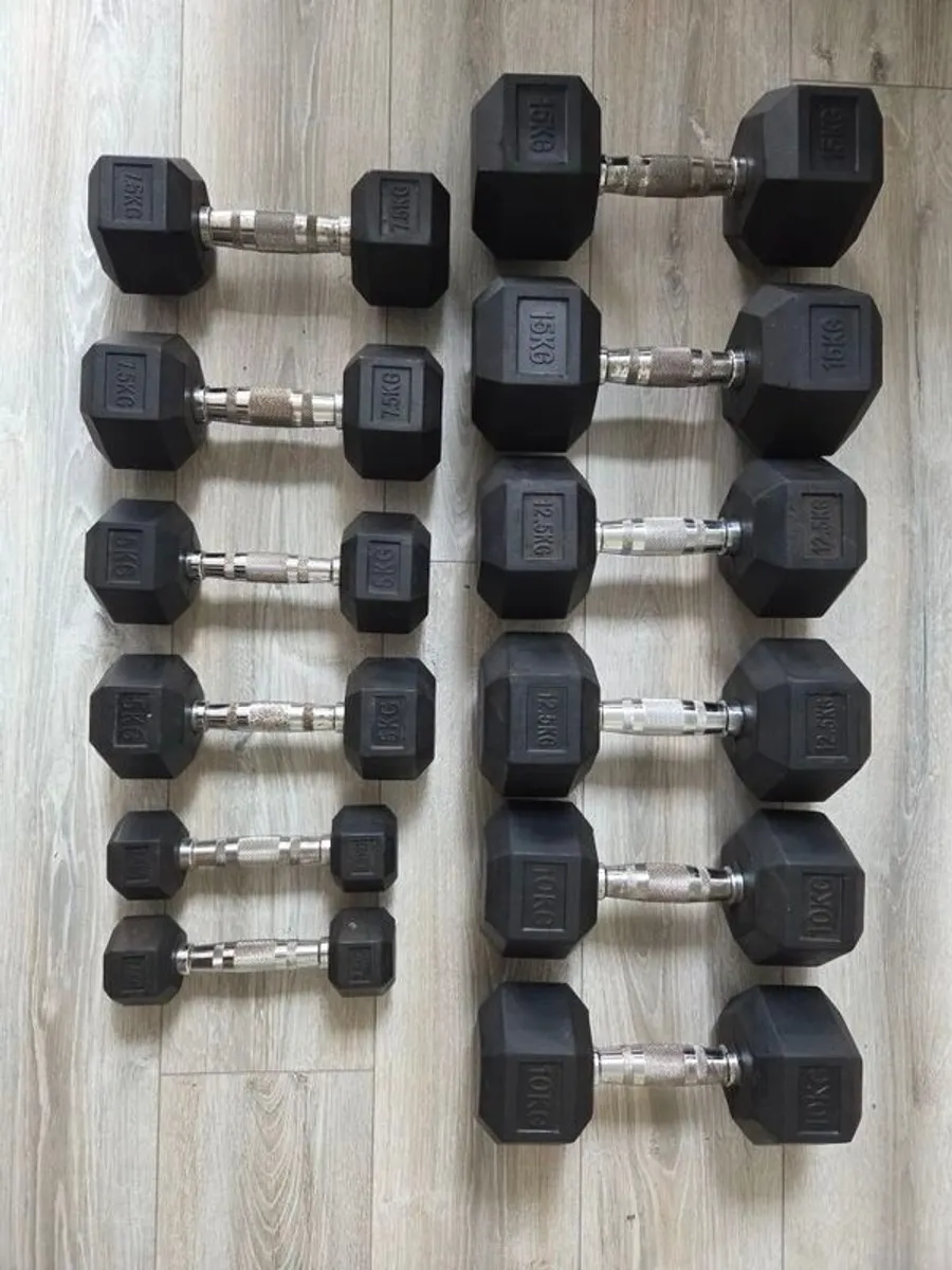 Hex weights and frame - Image 1