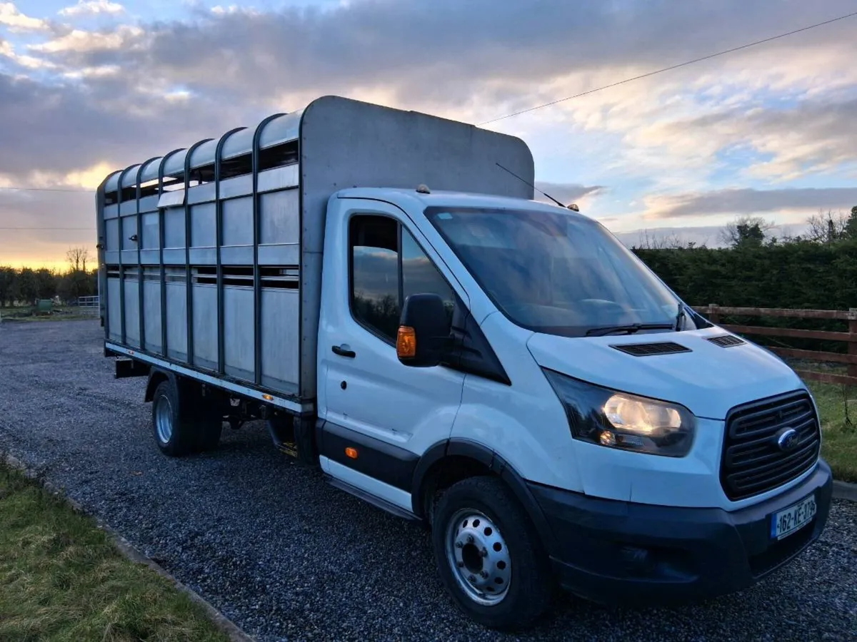 ⚪️ FORD TRANSIT LIVESTOCK PICKUP ⚪️ - Image 2