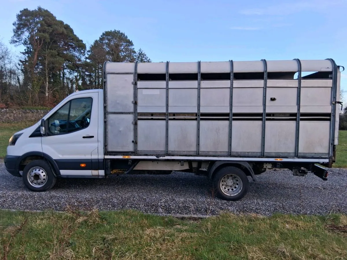 ⚪️ FORD TRANSIT LIVESTOCK PICKUP ⚪️ - Image 4
