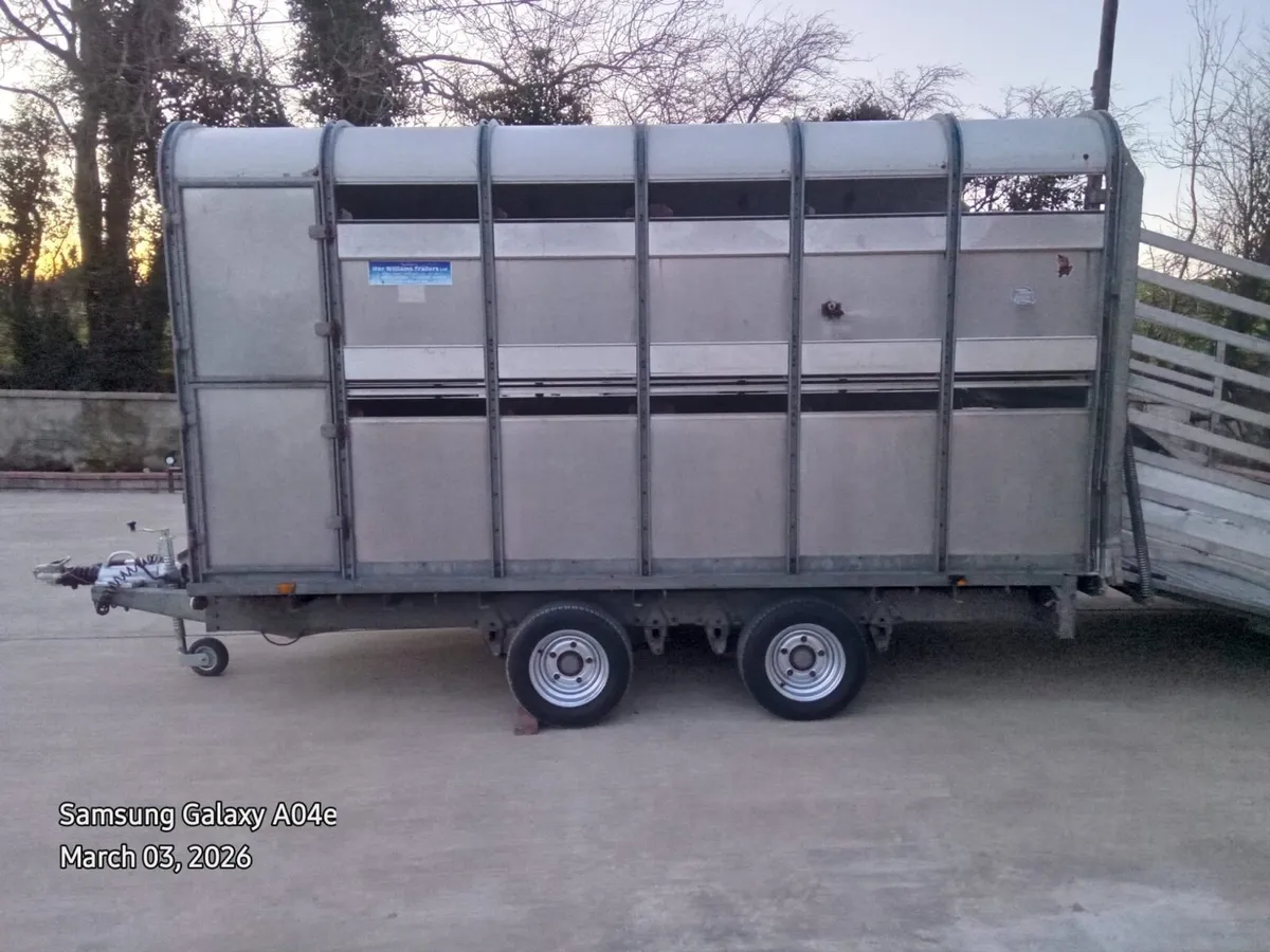 12*6 Ifor Williams double axle cattle trailer - Image 1