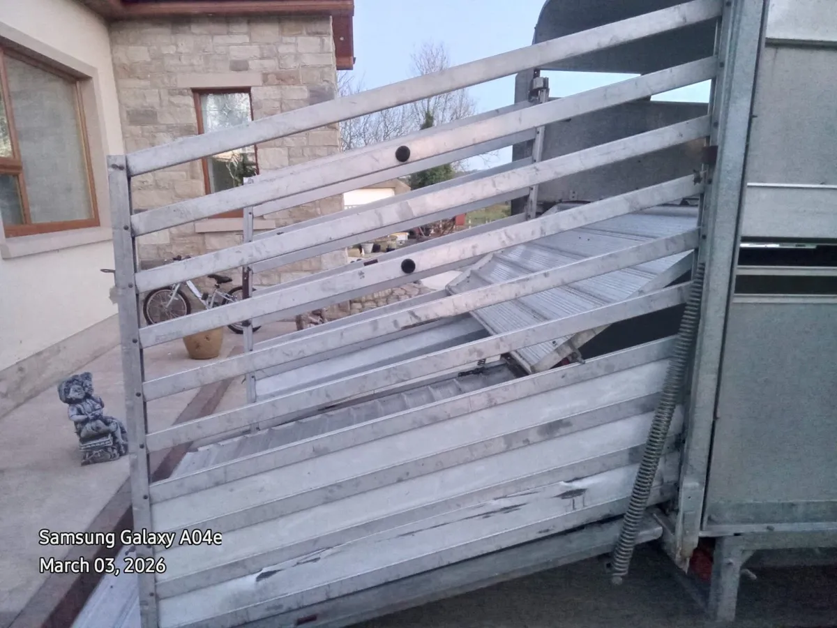 12*6 Ifor Williams double axle cattle trailer - Image 2