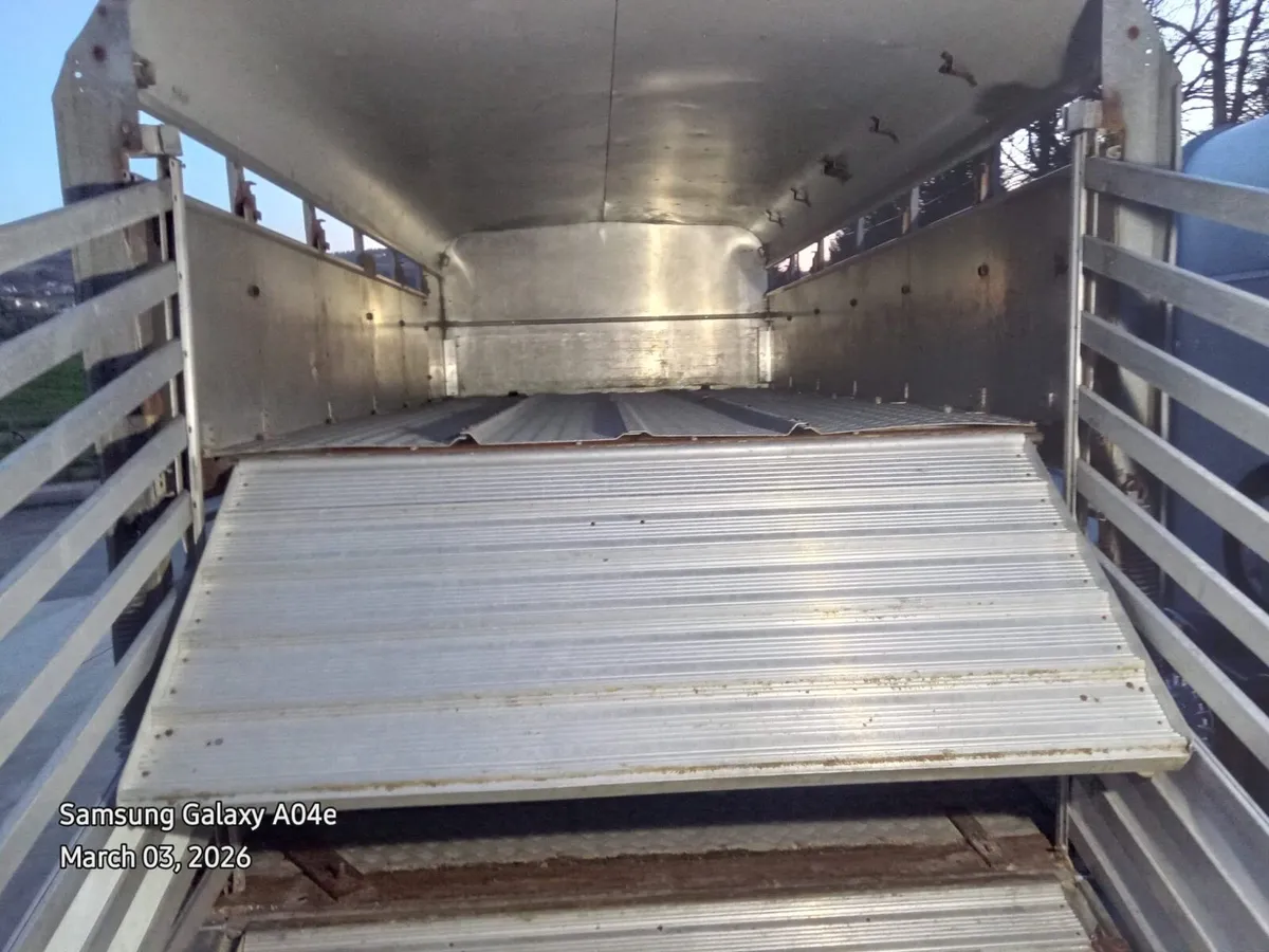 12*6 Ifor Williams double axle cattle trailer - Image 4