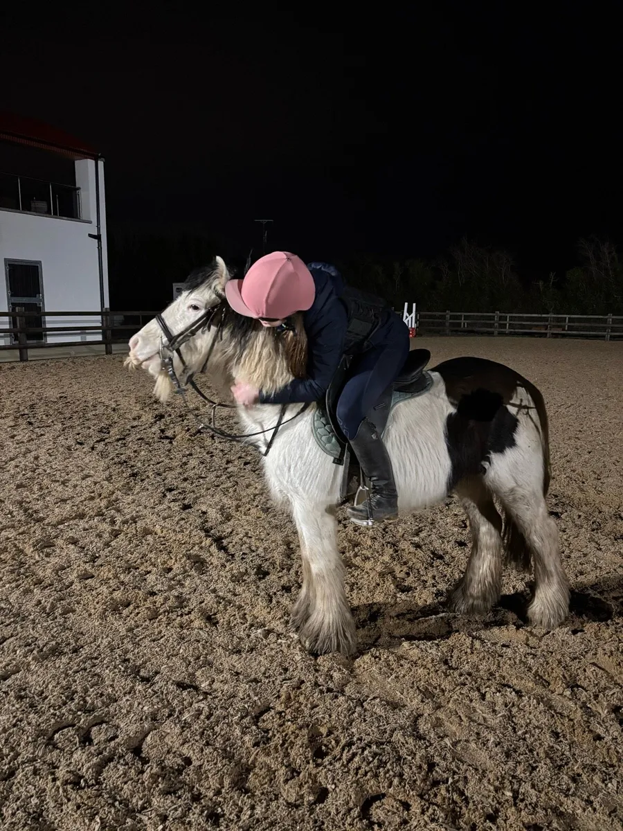 On/off lead 12.1h safe pony - Image 4