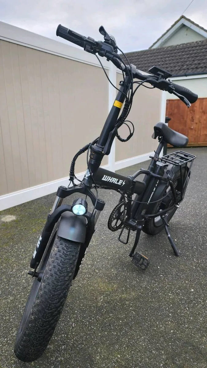 Electric Bike 250W Folding Fat Tyre – Whale 1.0 - Image 1