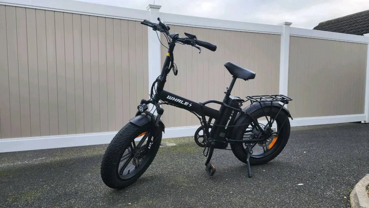 Electric Bike 250W Folding Fat Tyre – Whale 1.0 - Image 2