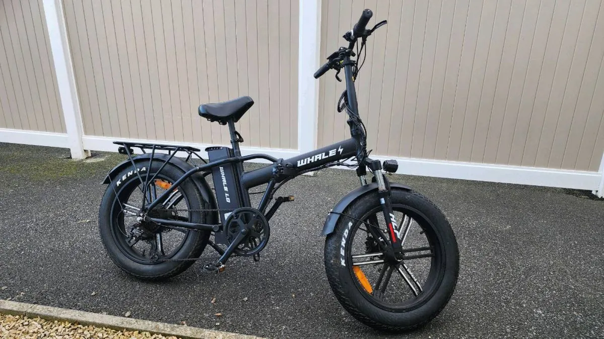 Electric Bike 250W Folding Fat Tyre – Whale 1.0 - Image 3