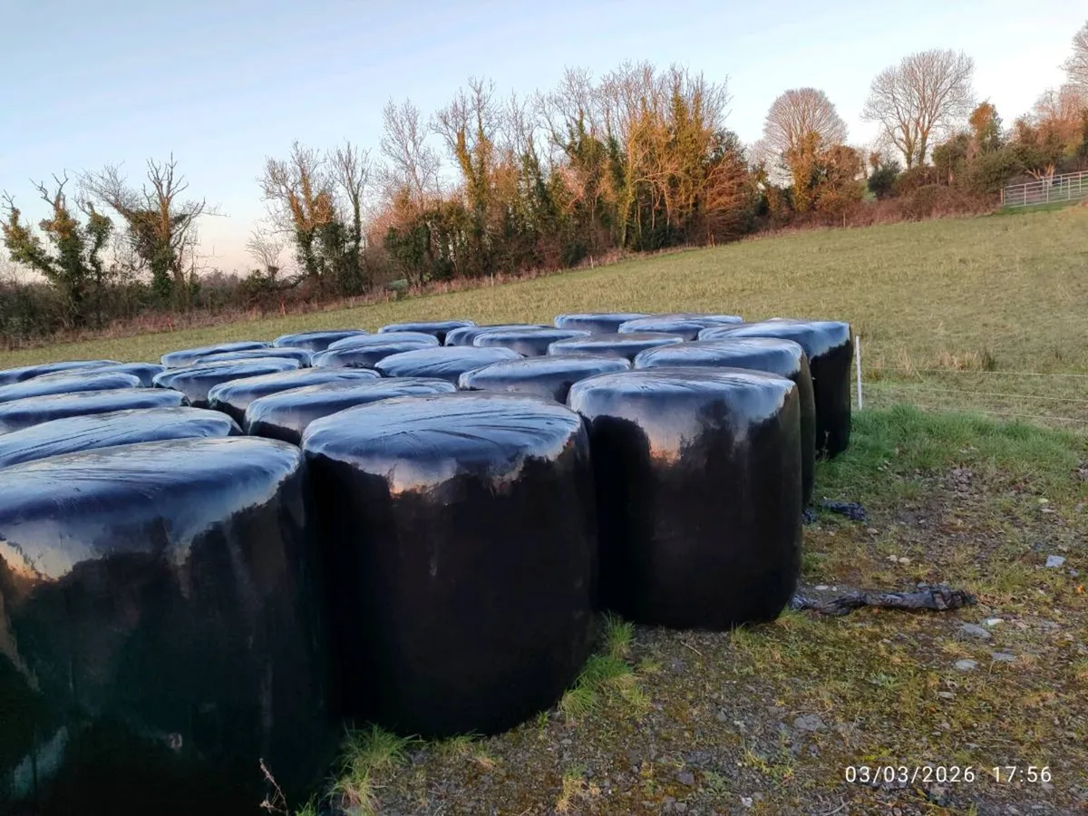 Wrapped hay/haylage - Image 1