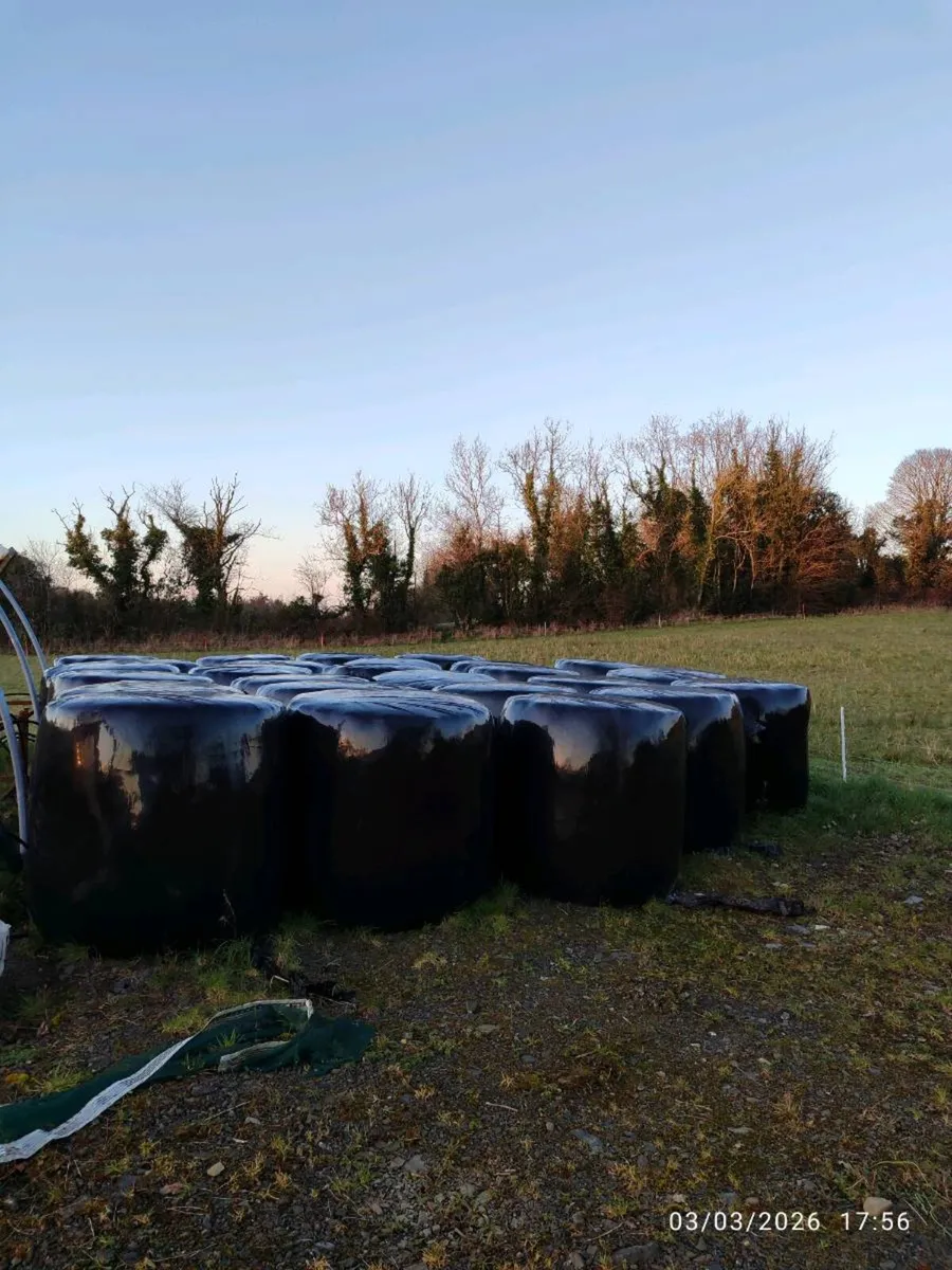 Wrapped hay/haylage - Image 4
