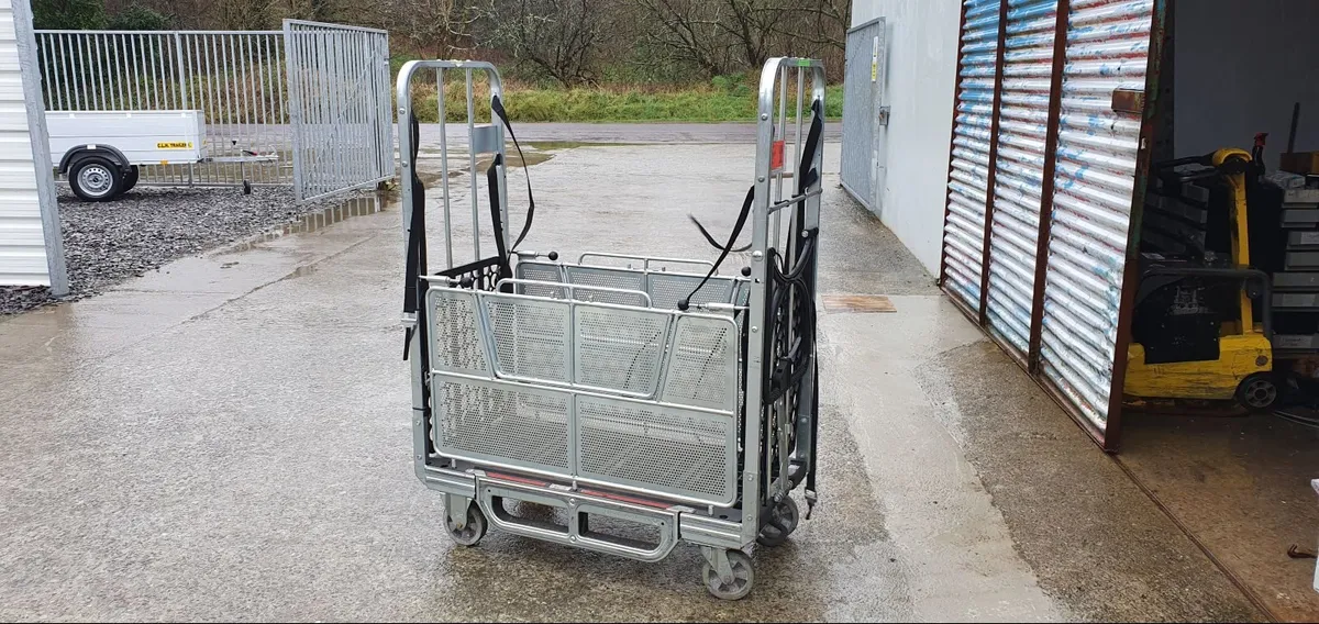 Heavy Duty Parcel Machines Tools Tray Trolley - Image 3