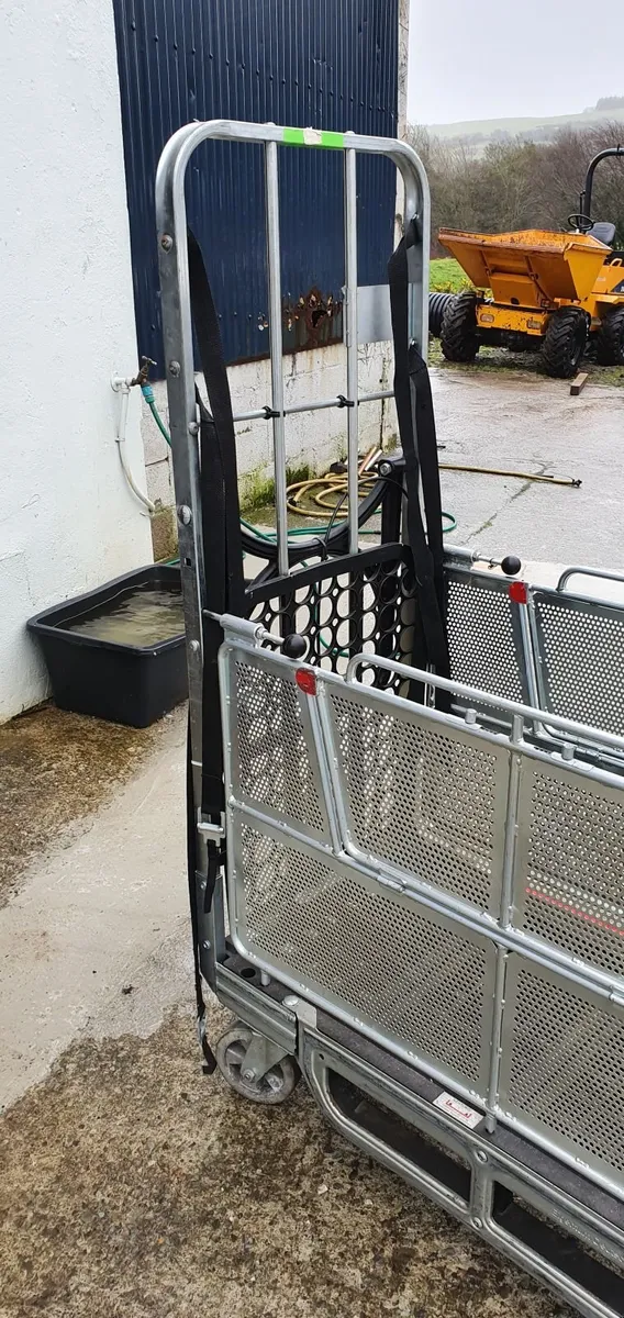 Heavy Duty Parcel Machines Tools Tray Trolley - Image 2