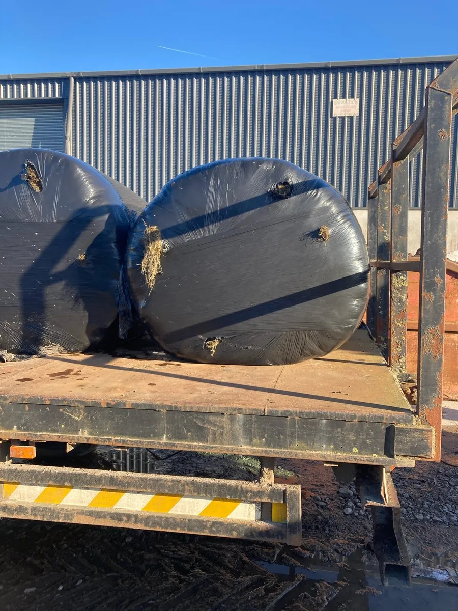 Silage bales - Image 1