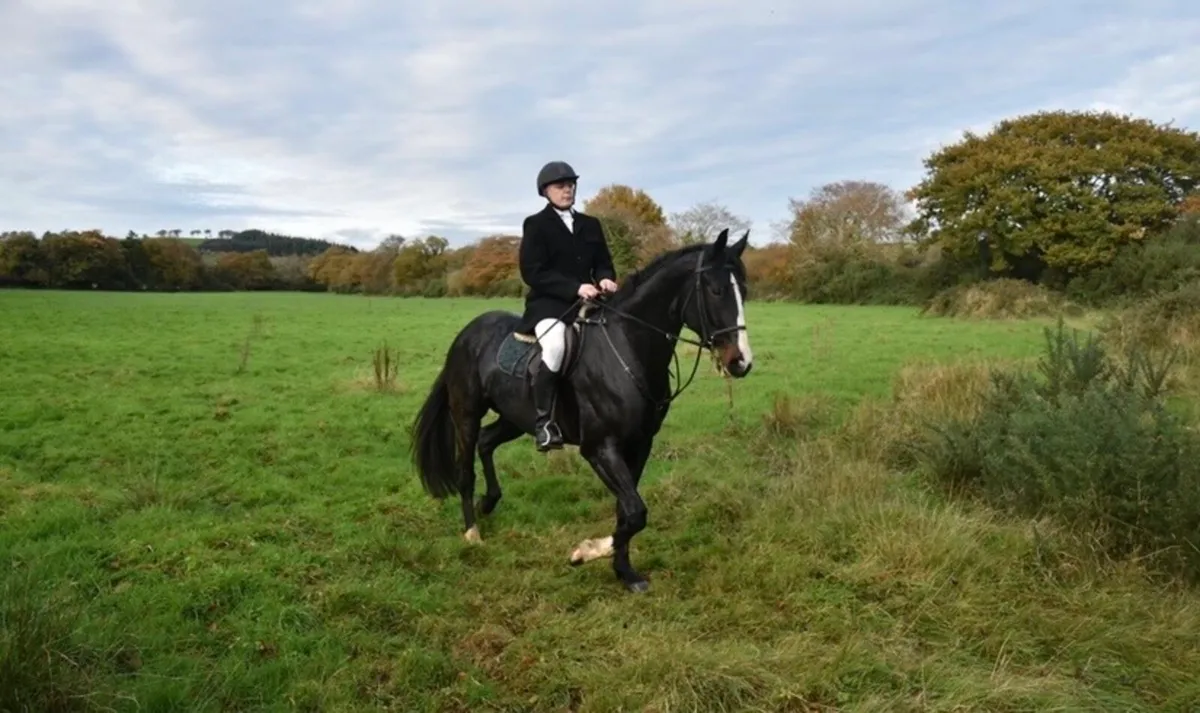 9yr old hunter - Image 1