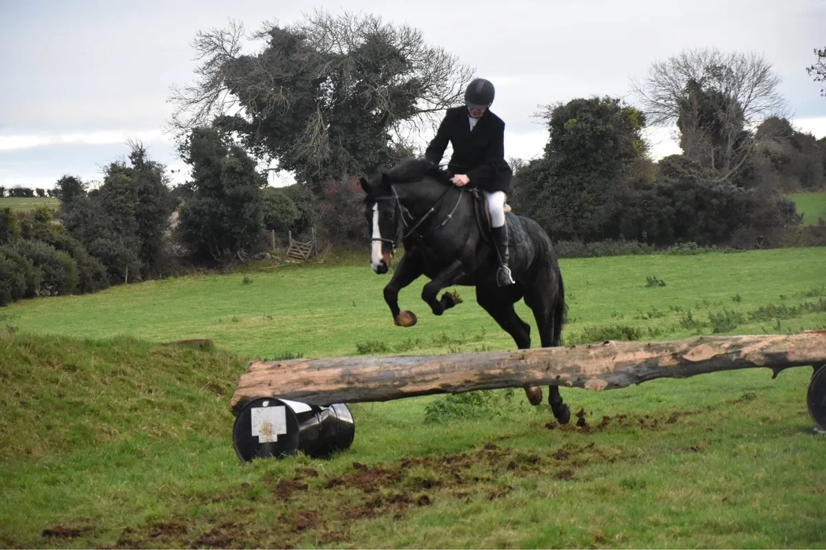 9yr old hunter - Image 3