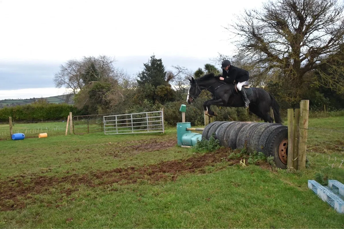 9yr old hunter - Image 4