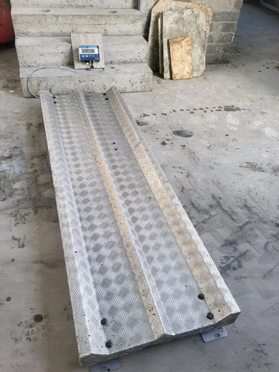 Cattle Weighing Scales - Image 1