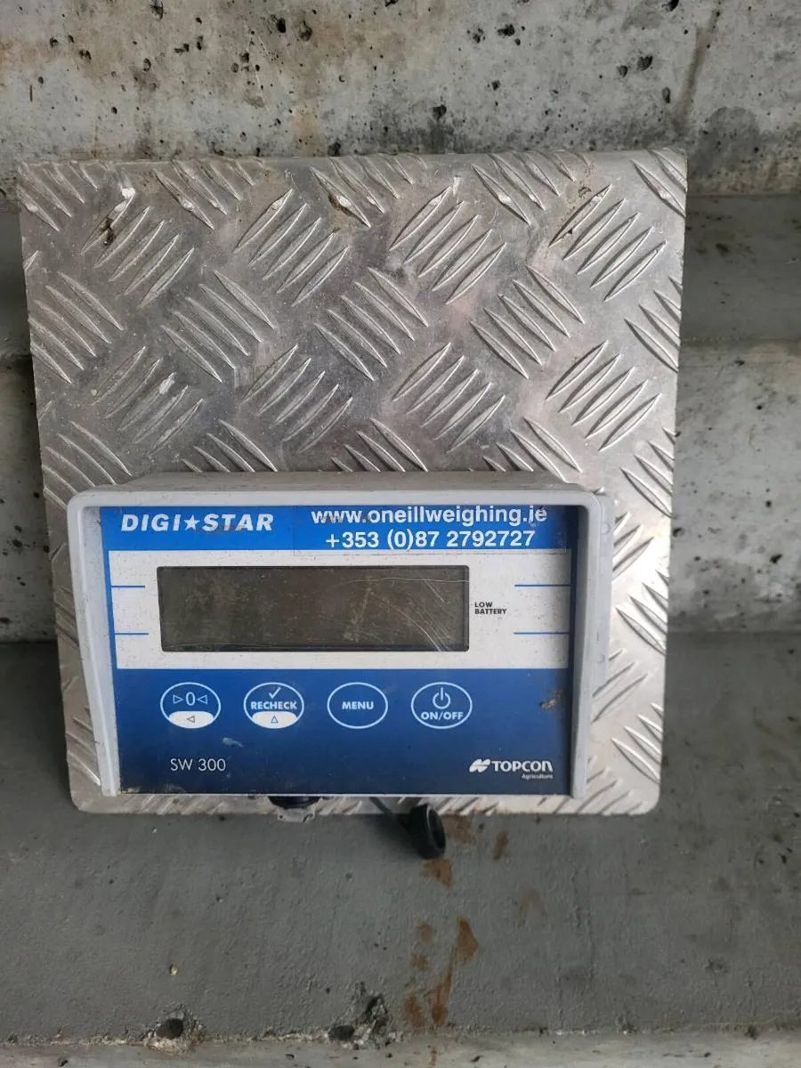 Cattle Weighing Scales - Image 2