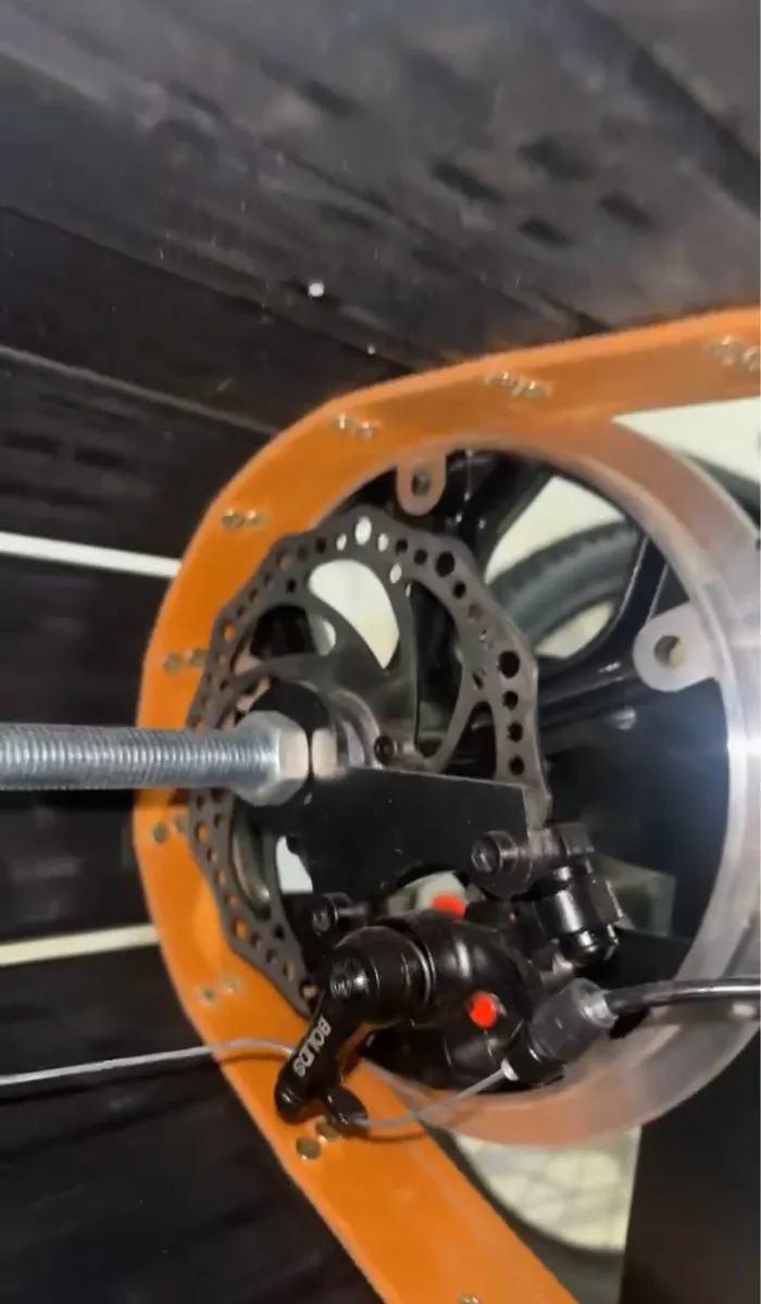 Dog Treadmill - Image 4