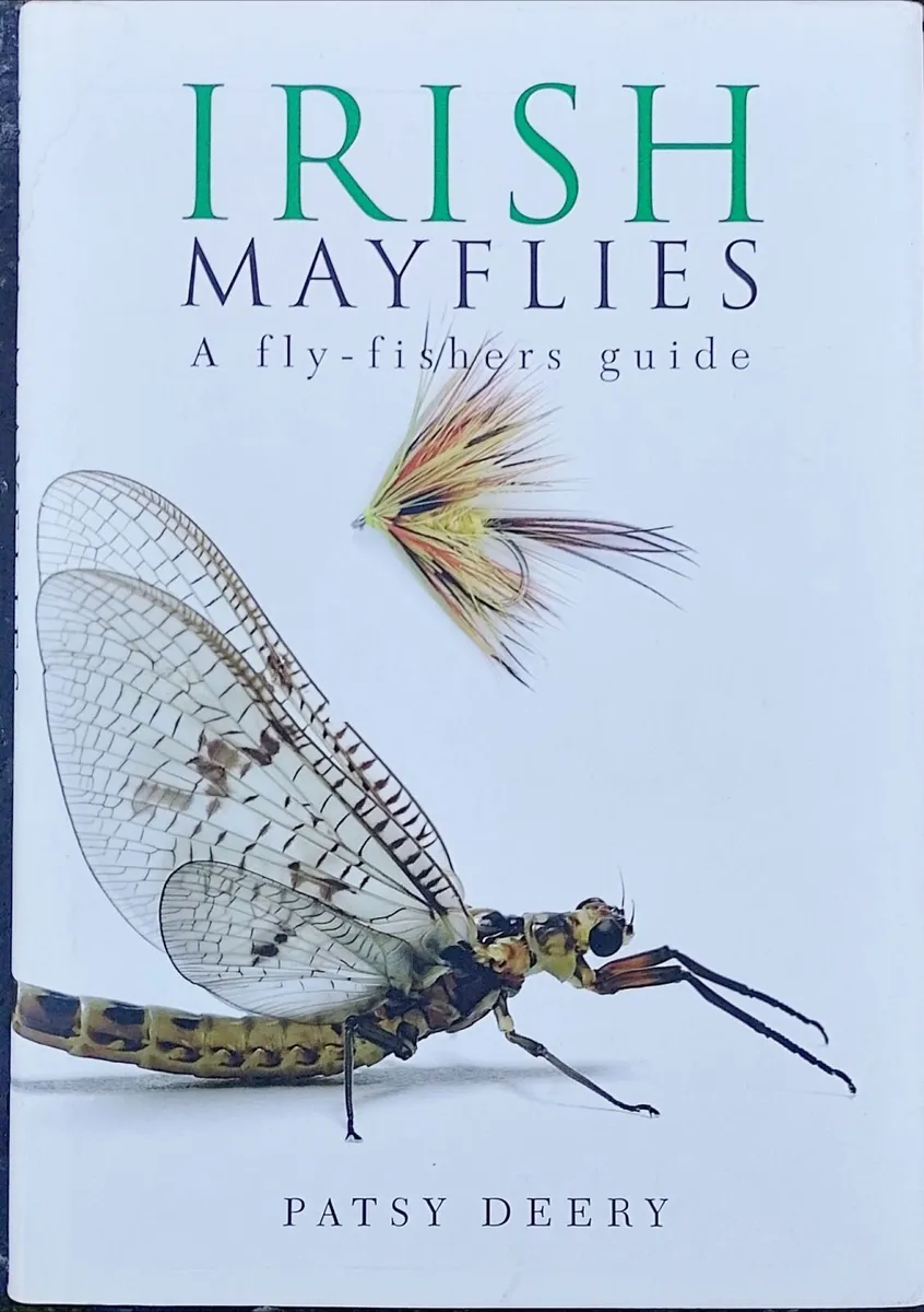 Irish Mayflies - Image 2