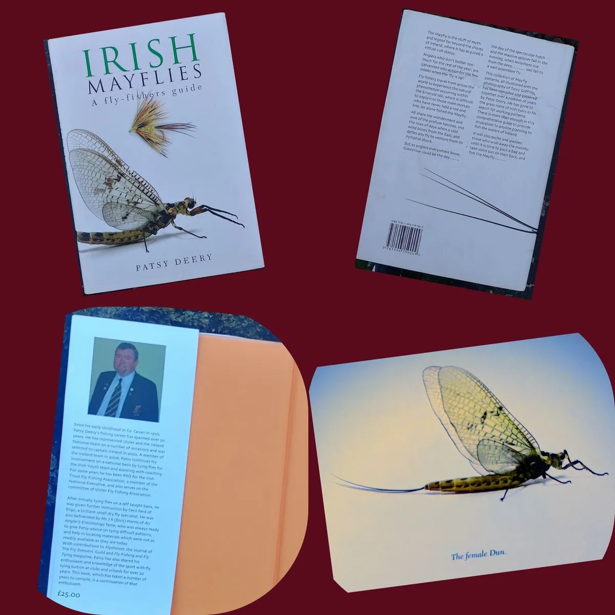 Irish Mayflies - Image 4