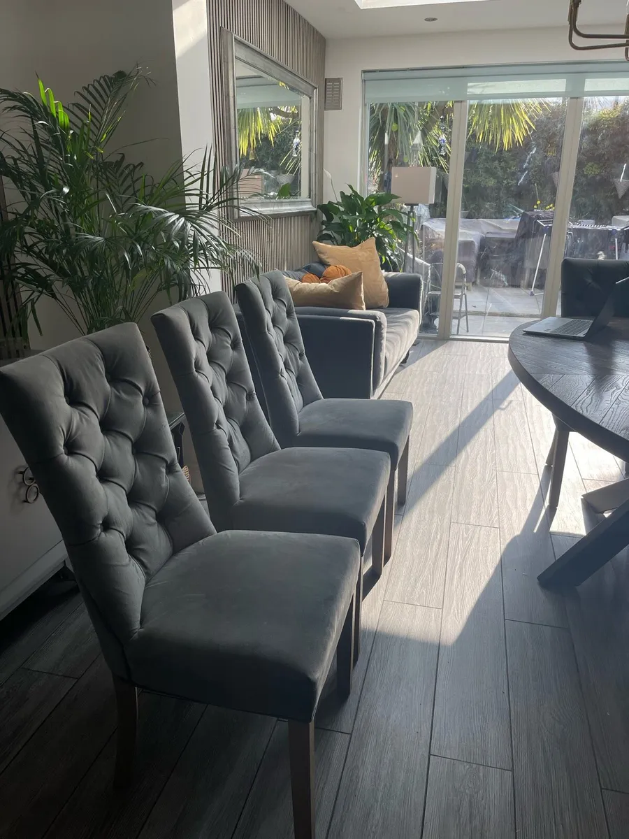 6  Dining Room Chairs Grey Brushed Velvet . - Image 1