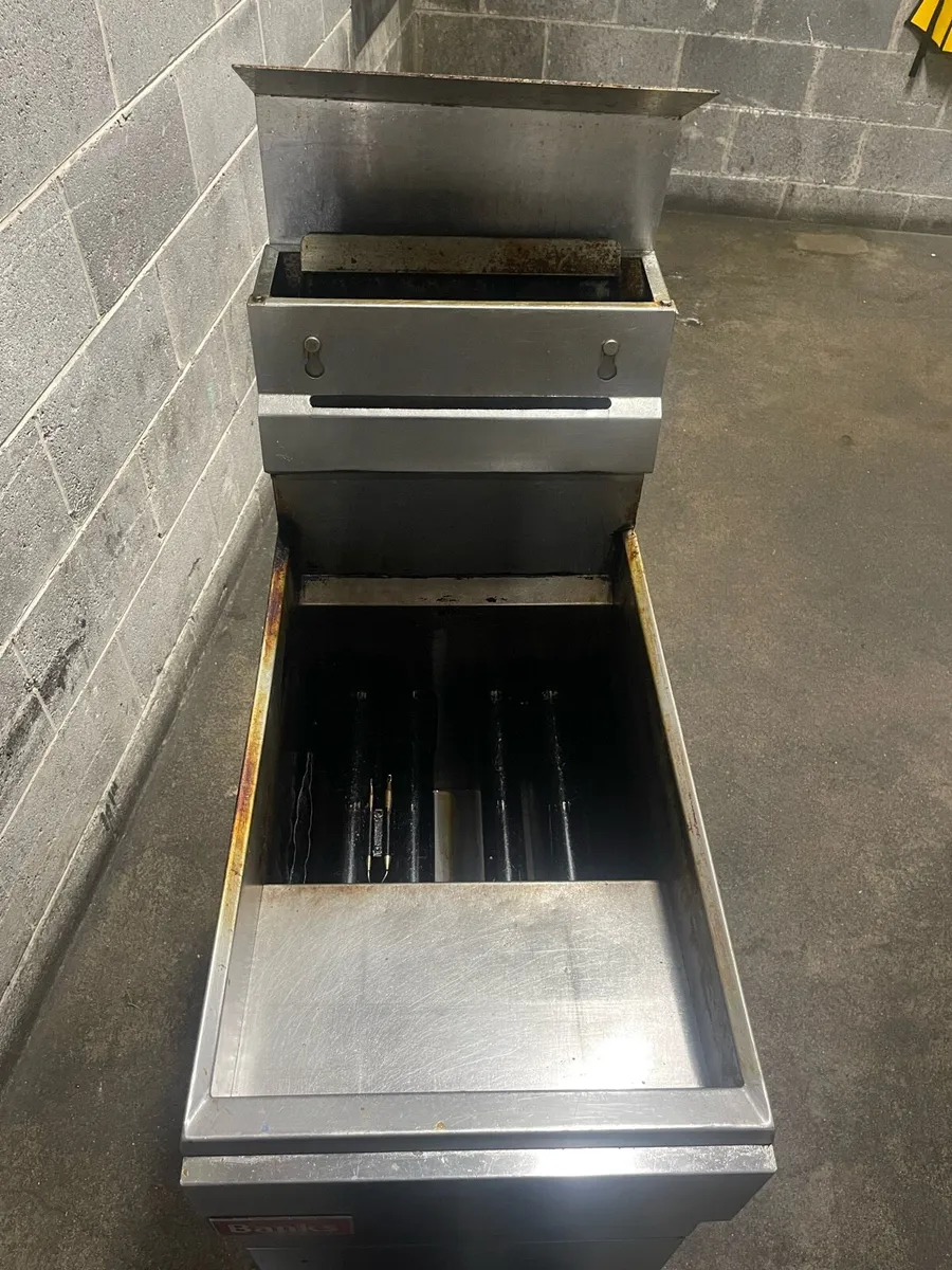 Fryer - Image 2
