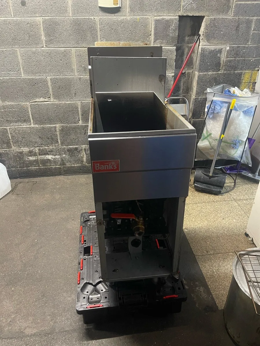 Fryer - Image 4