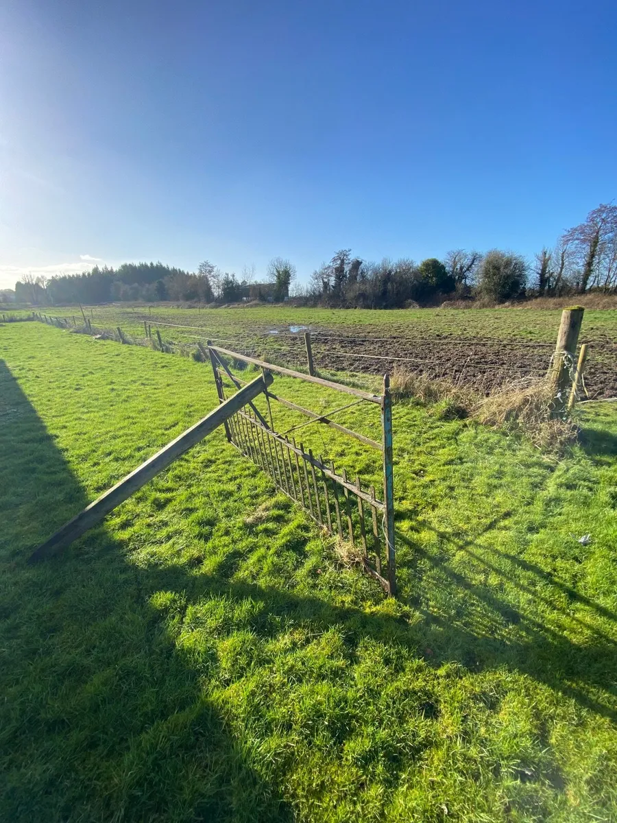 9ft heavy iron gate - Image 3