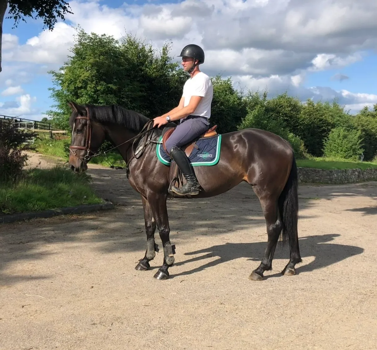 Dream all rounder/ amateur jumper - Image 2