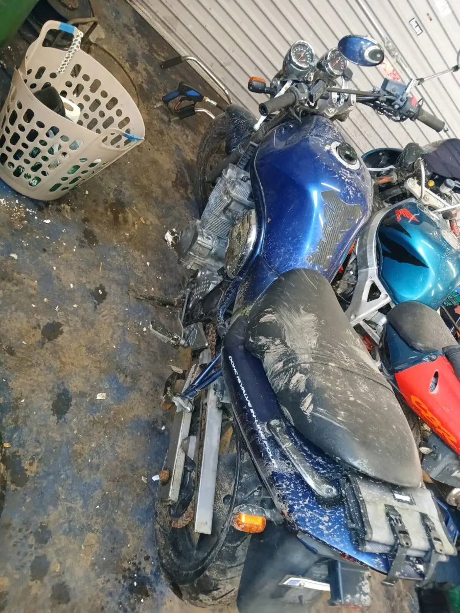 Suzuki bandit 600 - Image 4