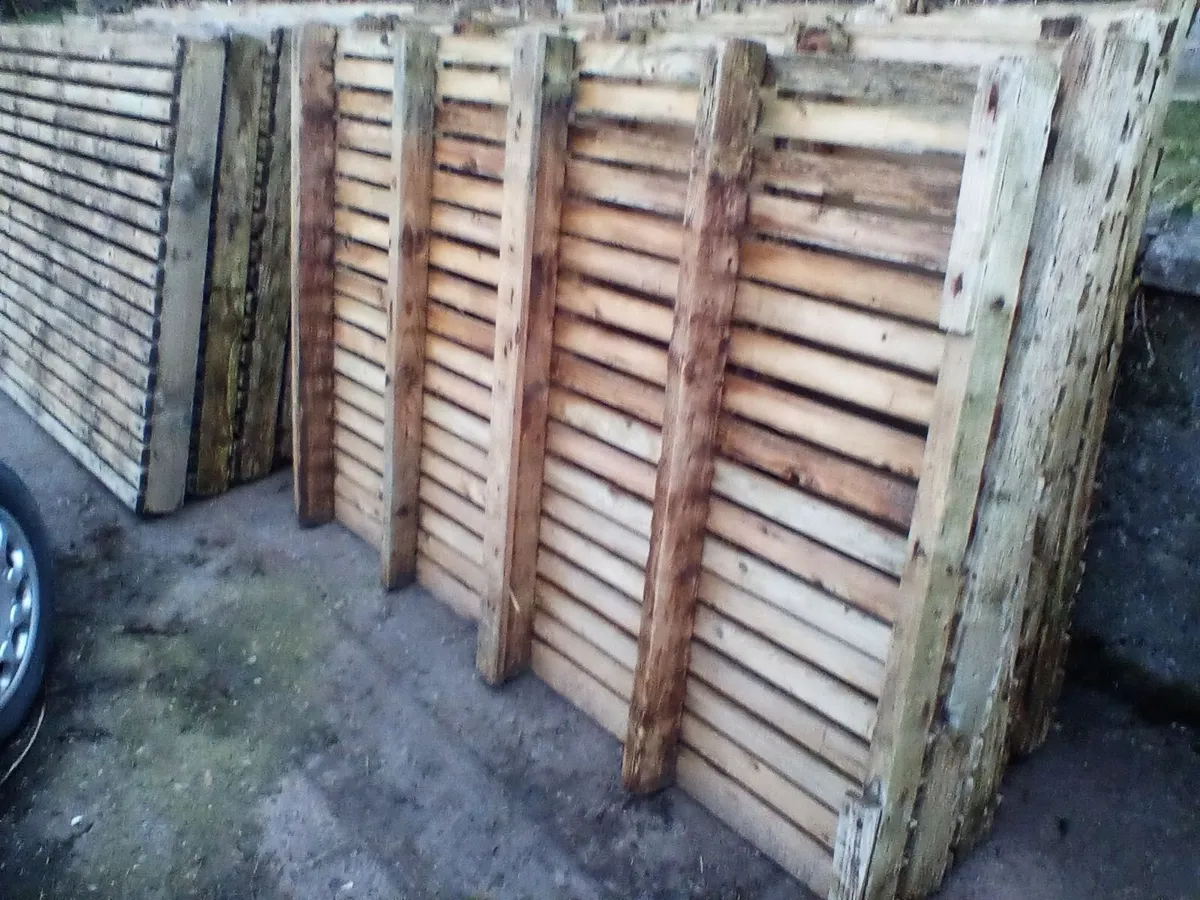 Sheep  slats ,lamb creep feeders - Image 3