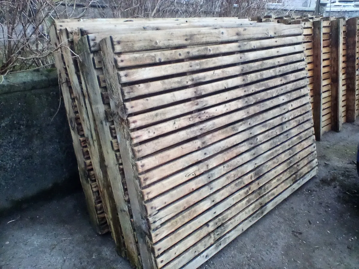 Sheep  slats ,lamb creep feeders - Image 1