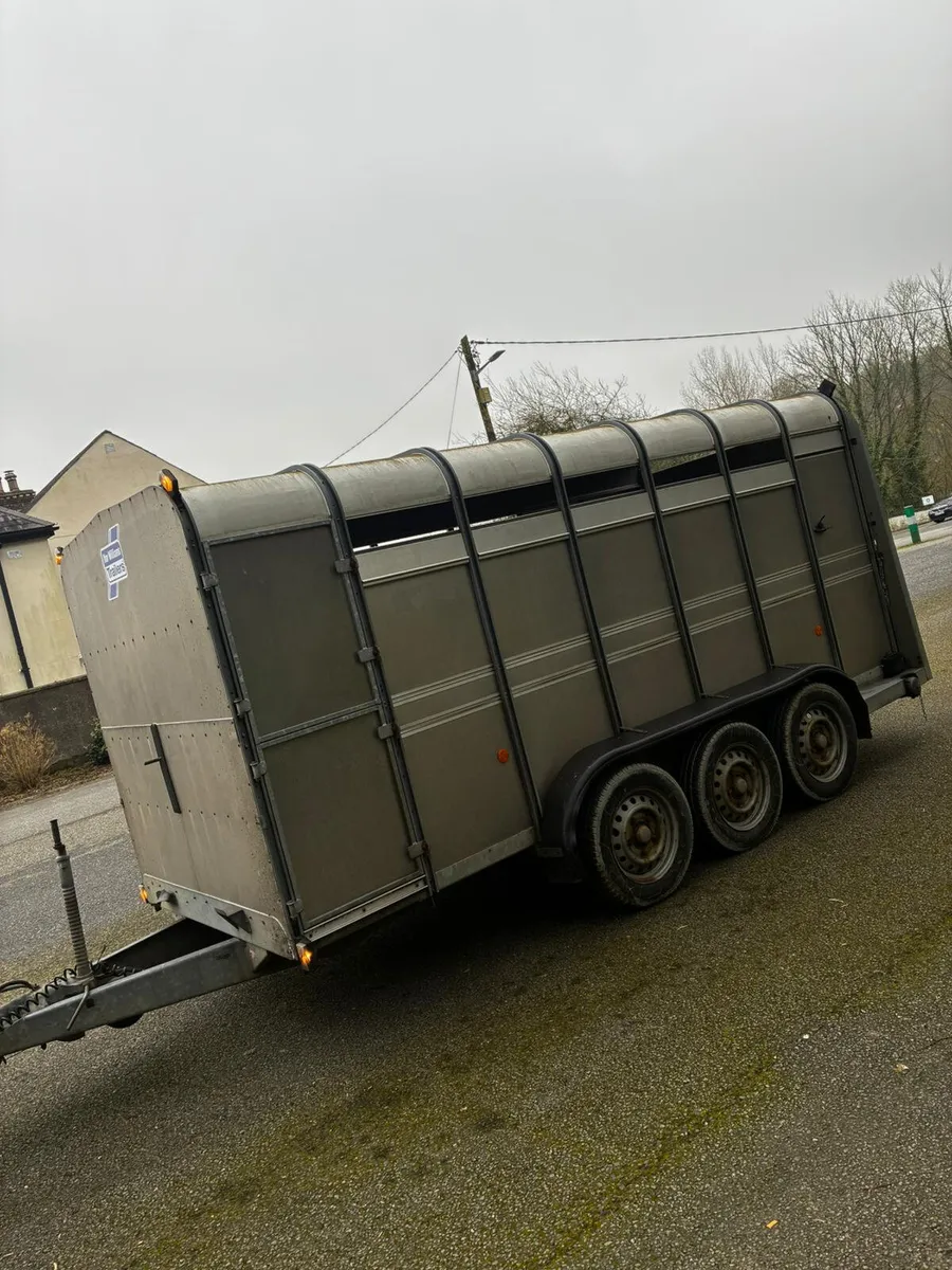 14ft ifor Williams cattle trailer - Image 4