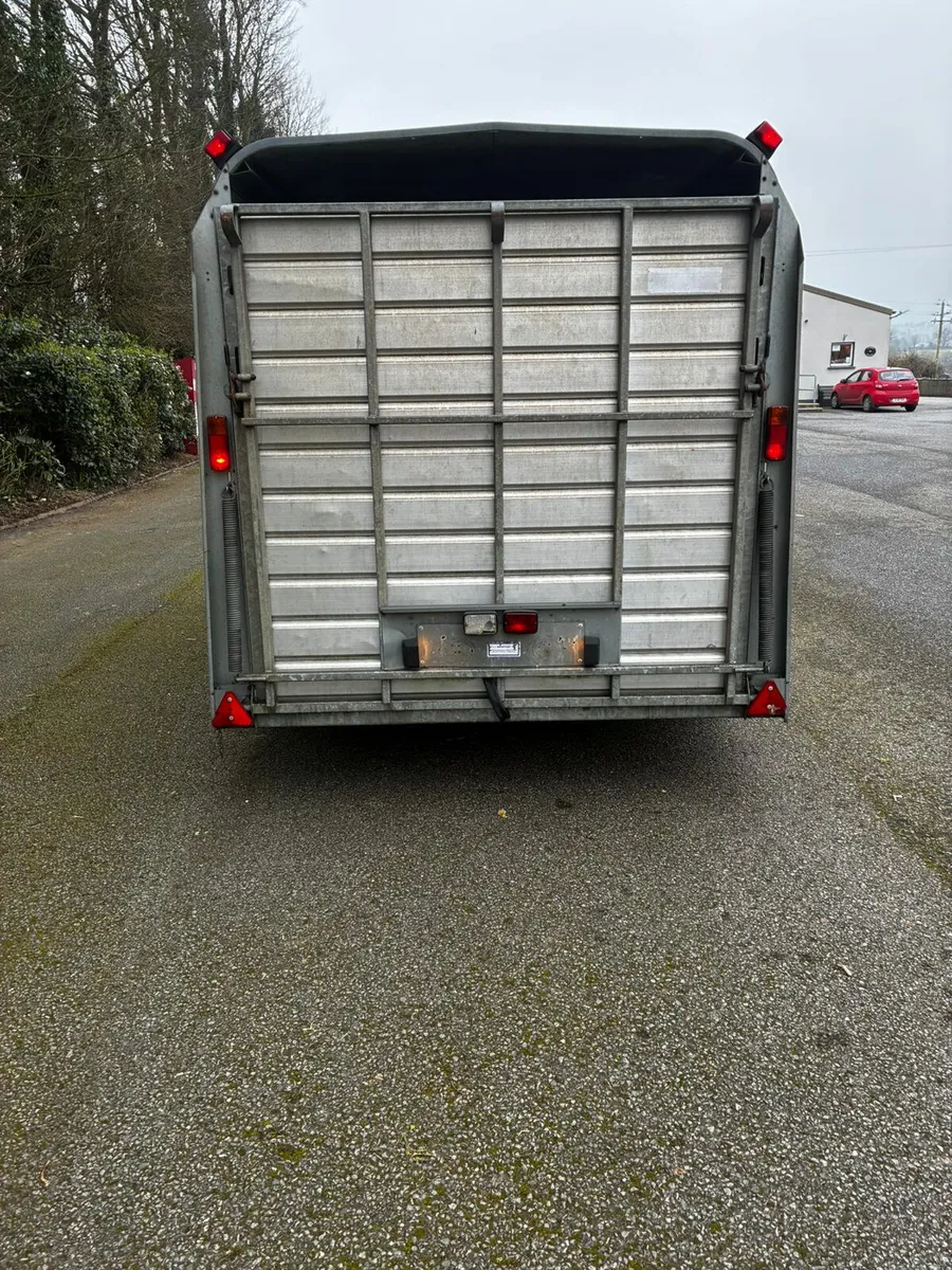 14ft ifor Williams cattle trailer - Image 3
