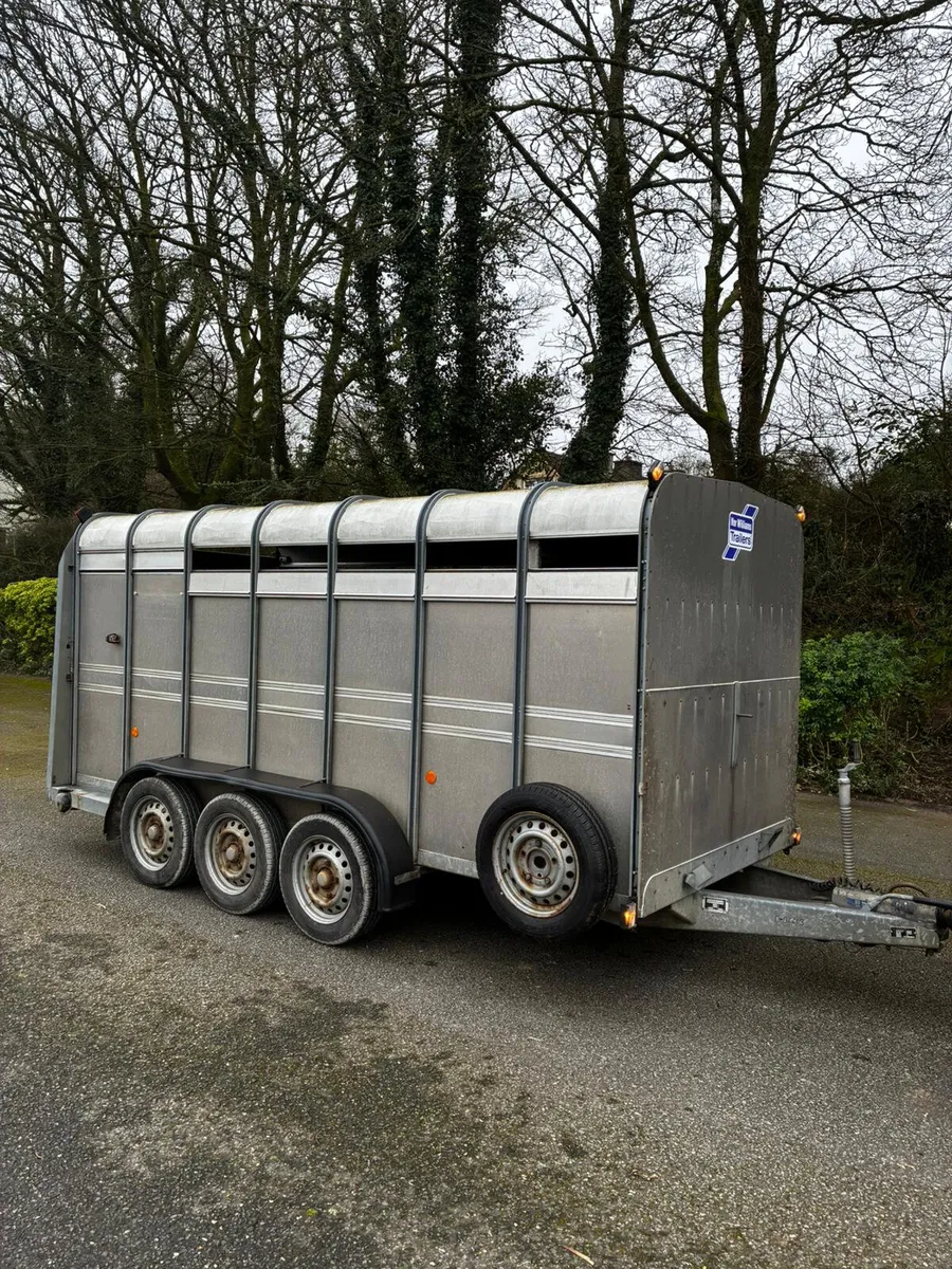 14ft ifor Williams cattle trailer - Image 1