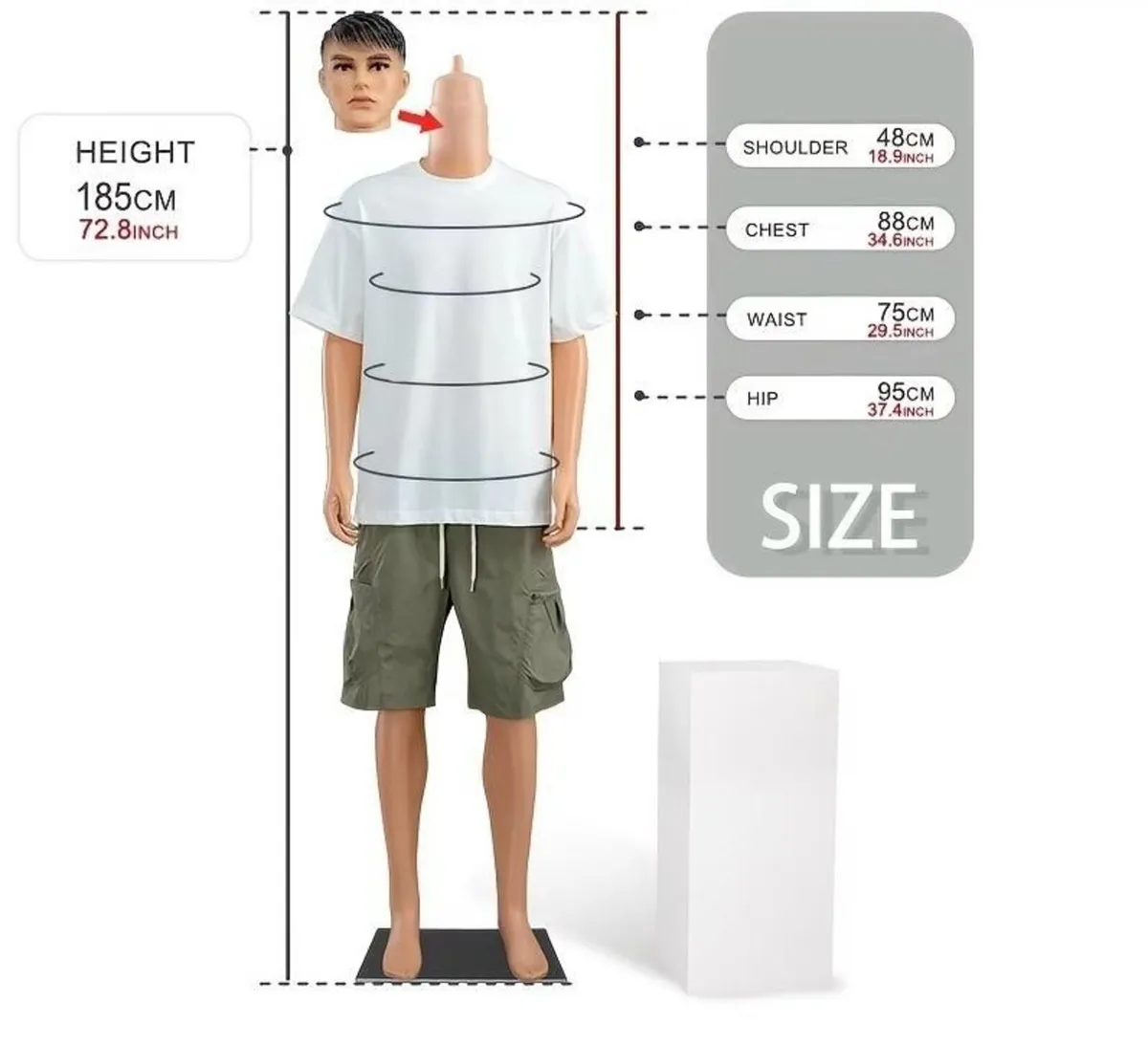 MALE MANNEQUIN - Image 4