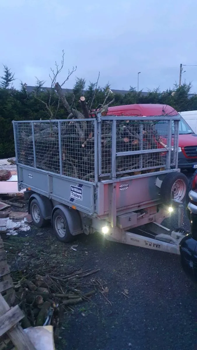 Ifor Williams Tipping Trailer - Image 1