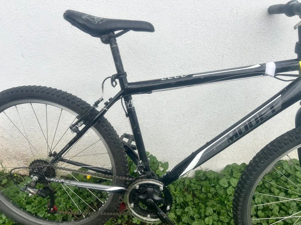 Ex rental bikes - Image 2