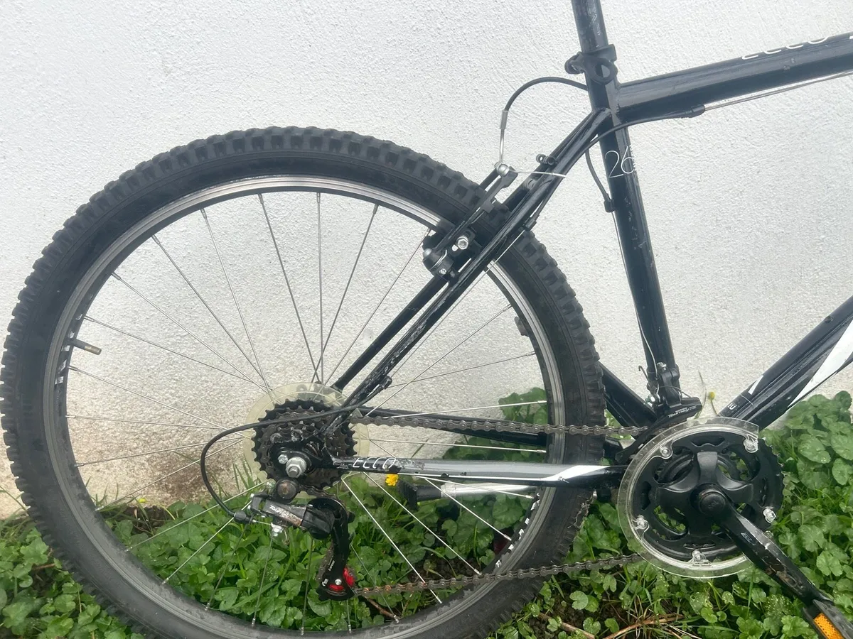 Ex rental bikes - Image 4