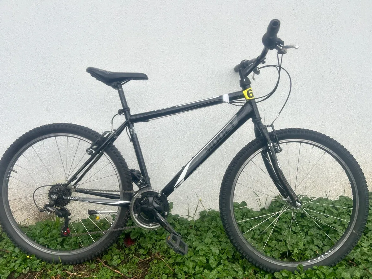 Ex rental bikes - Image 1