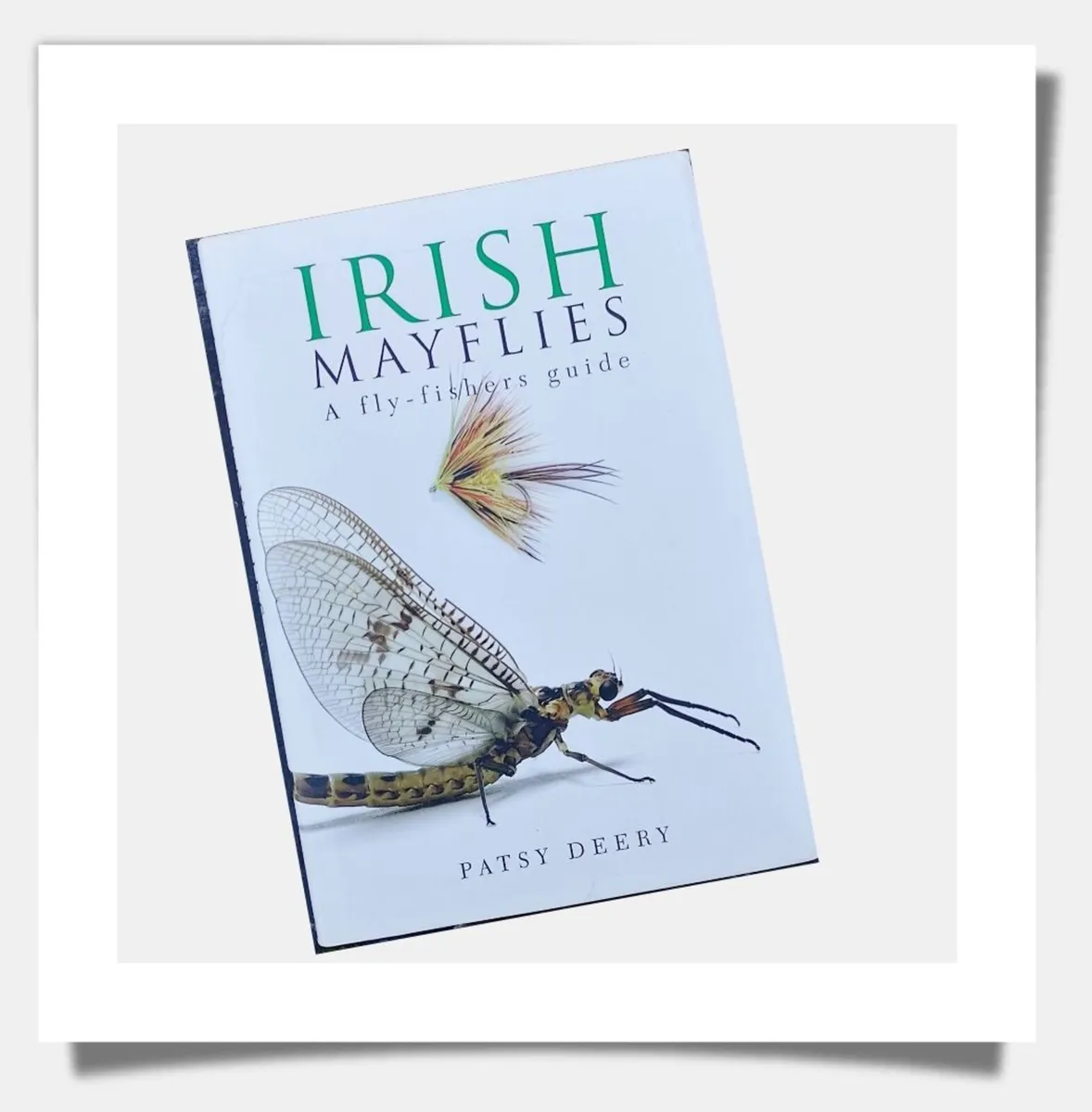 Irish Mayflies - Image 1