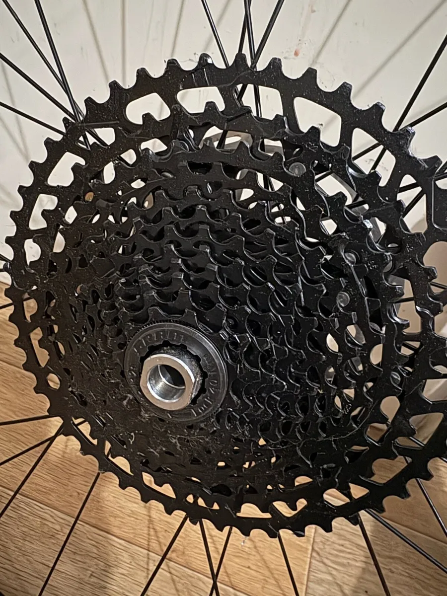 29” MTB wheels - Image 2