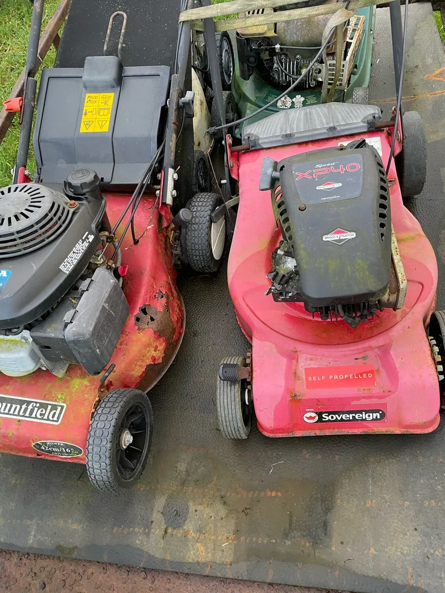 Lawnmower/Chainsaw/Strimmer Servicing & Reparis - Image 3