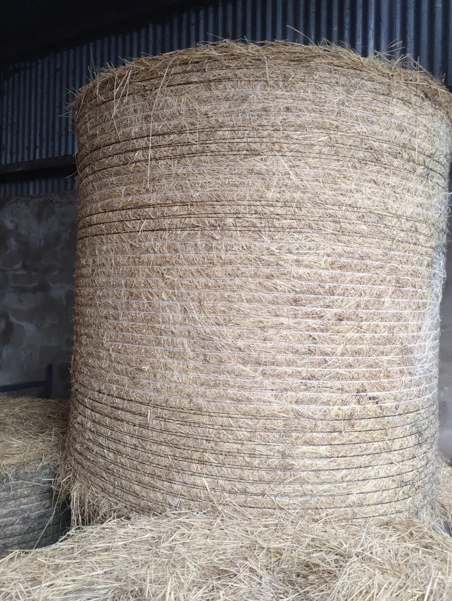 Quality Hay - Image 1