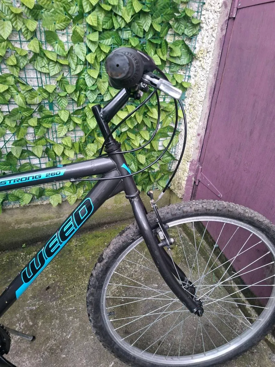 Weed strong 260 bike - Image 2